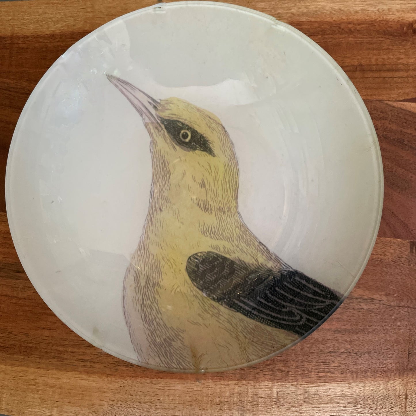 Oriole Bowl