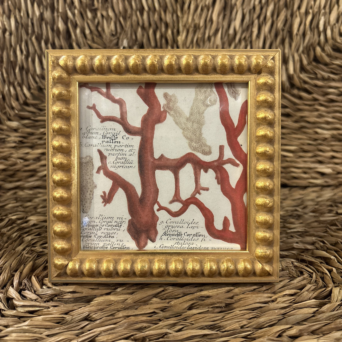 Diana Gold Frame, 4x4"