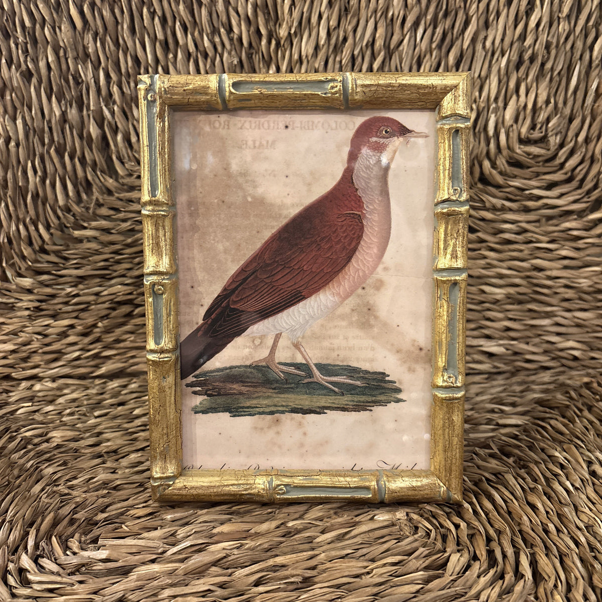 Gold Bamboo Frame, 5x7"