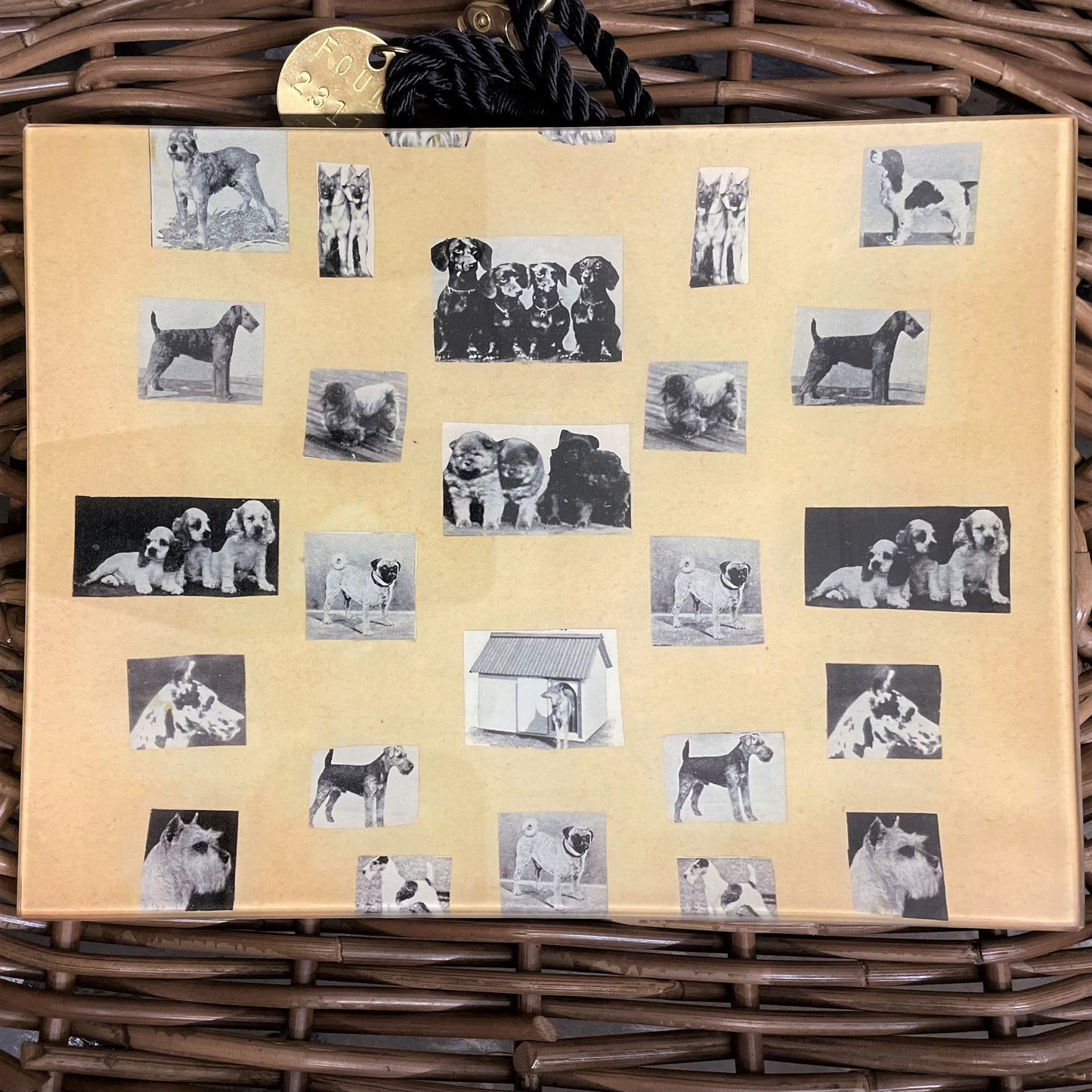 Dog Show c. 1920 Tray No. 03