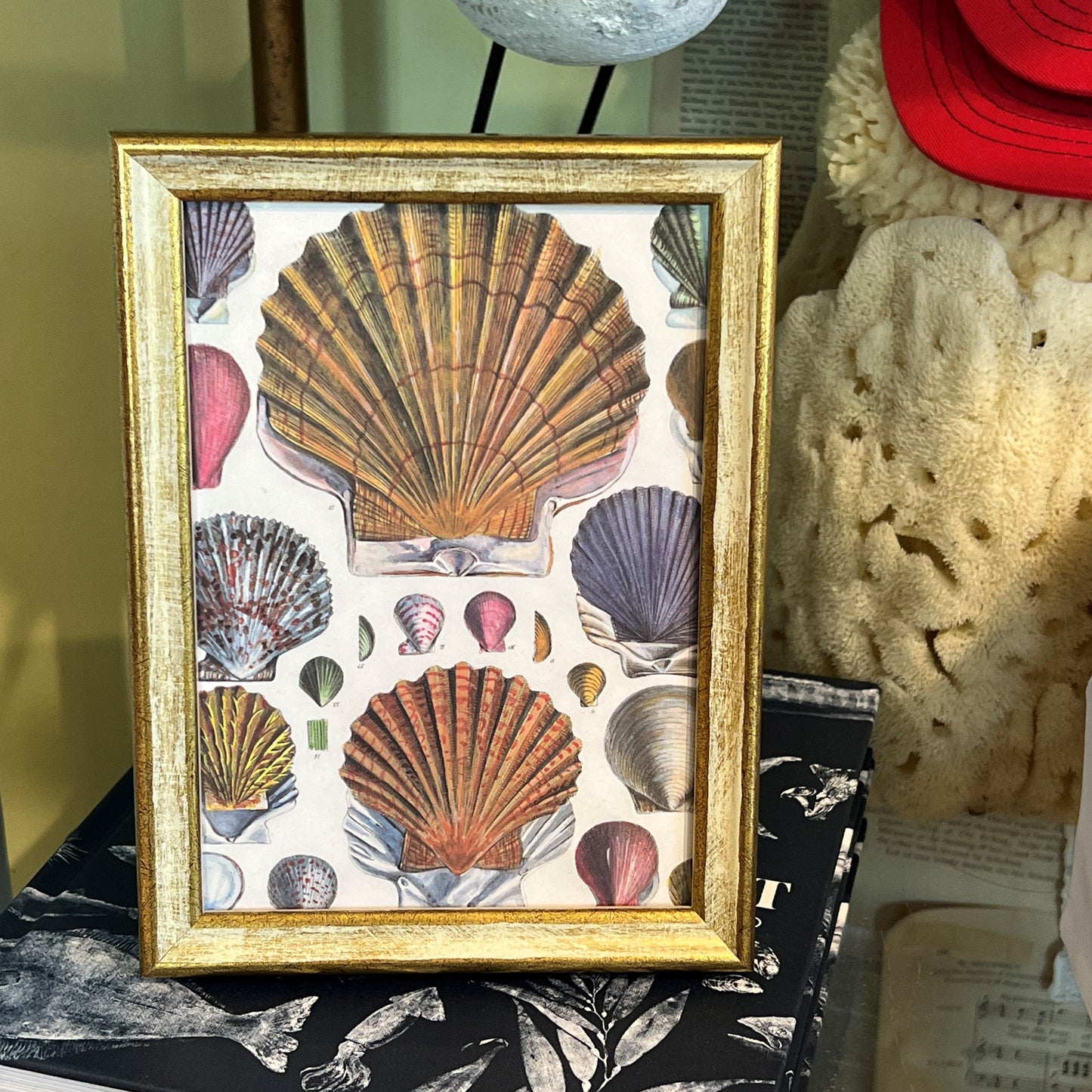 Traditional Gold & Cream Frame