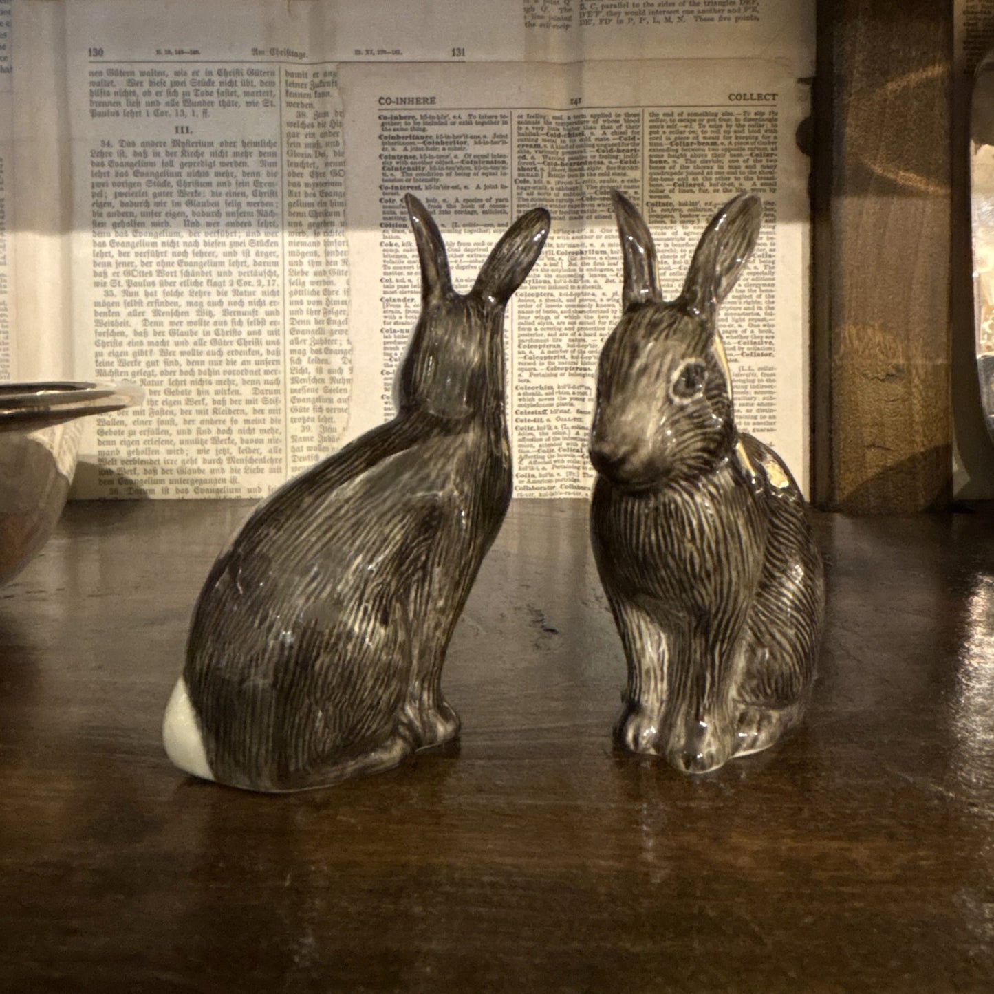 Wild Rabbit Salt & Pepper Set