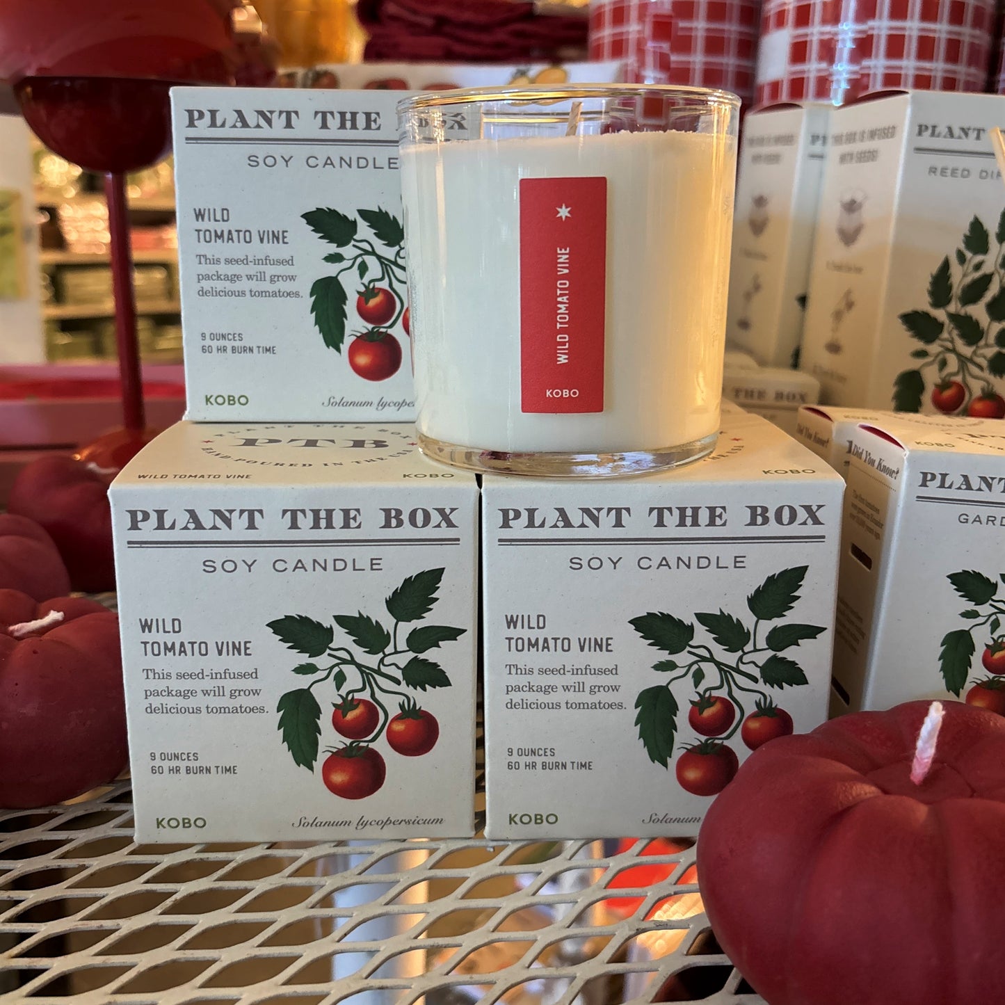 Wild Tomato Vine Candle