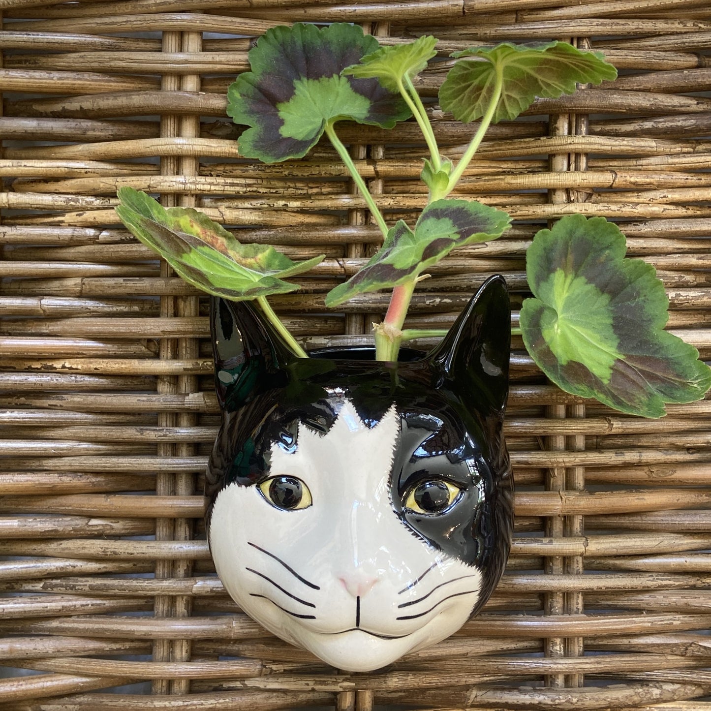 Barney the Cat Wall Vase