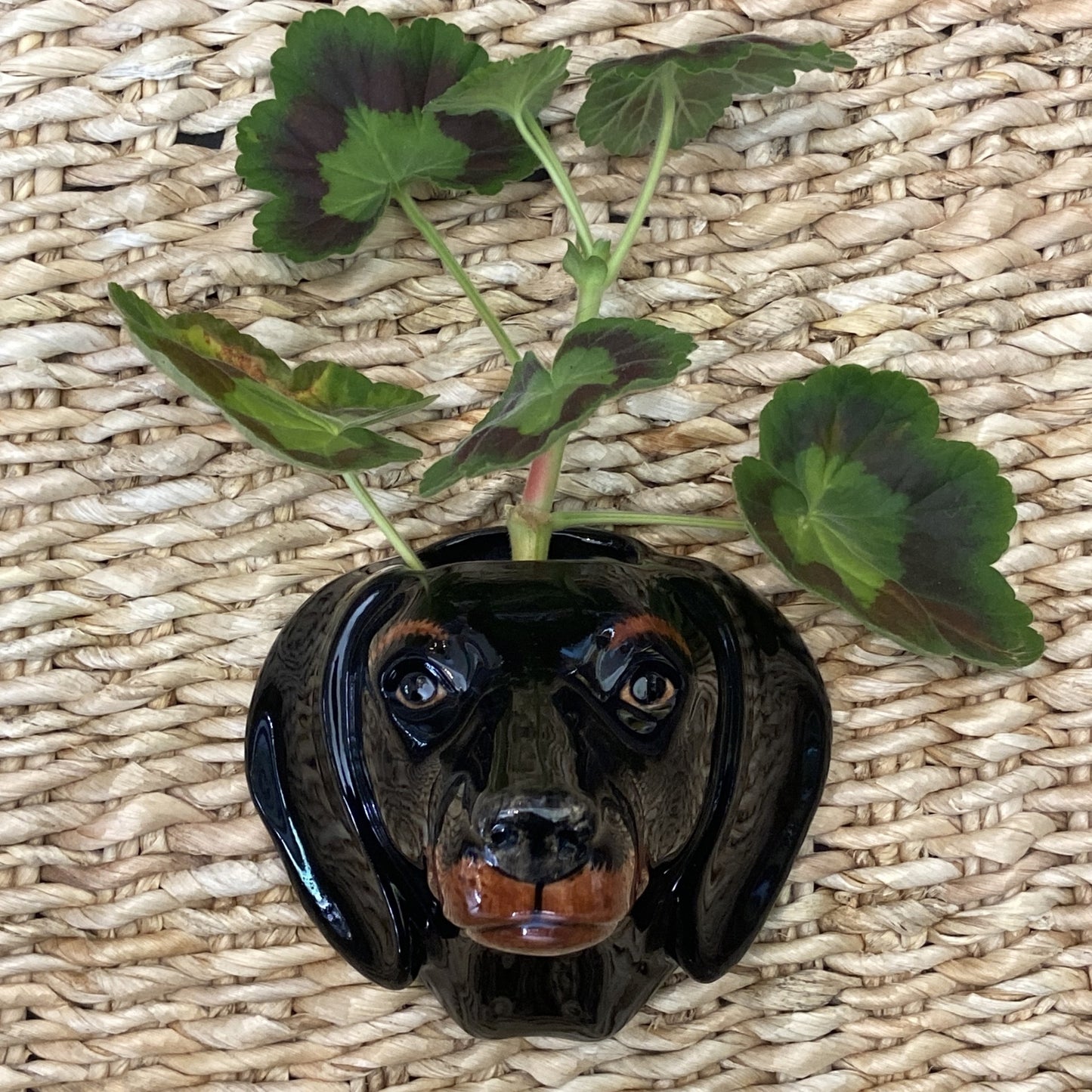 Dachshund Wall Vase