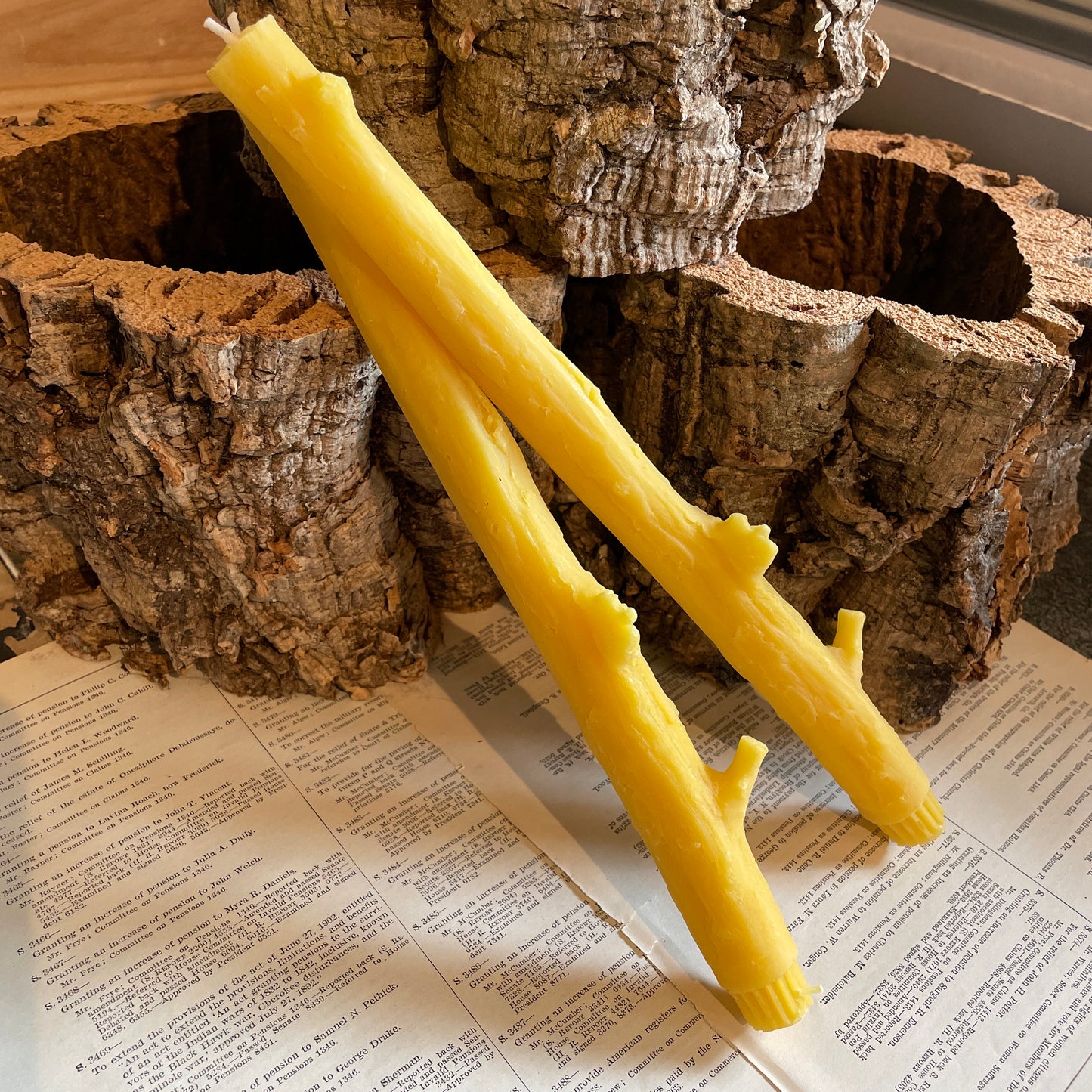 Natural Cedar Candles