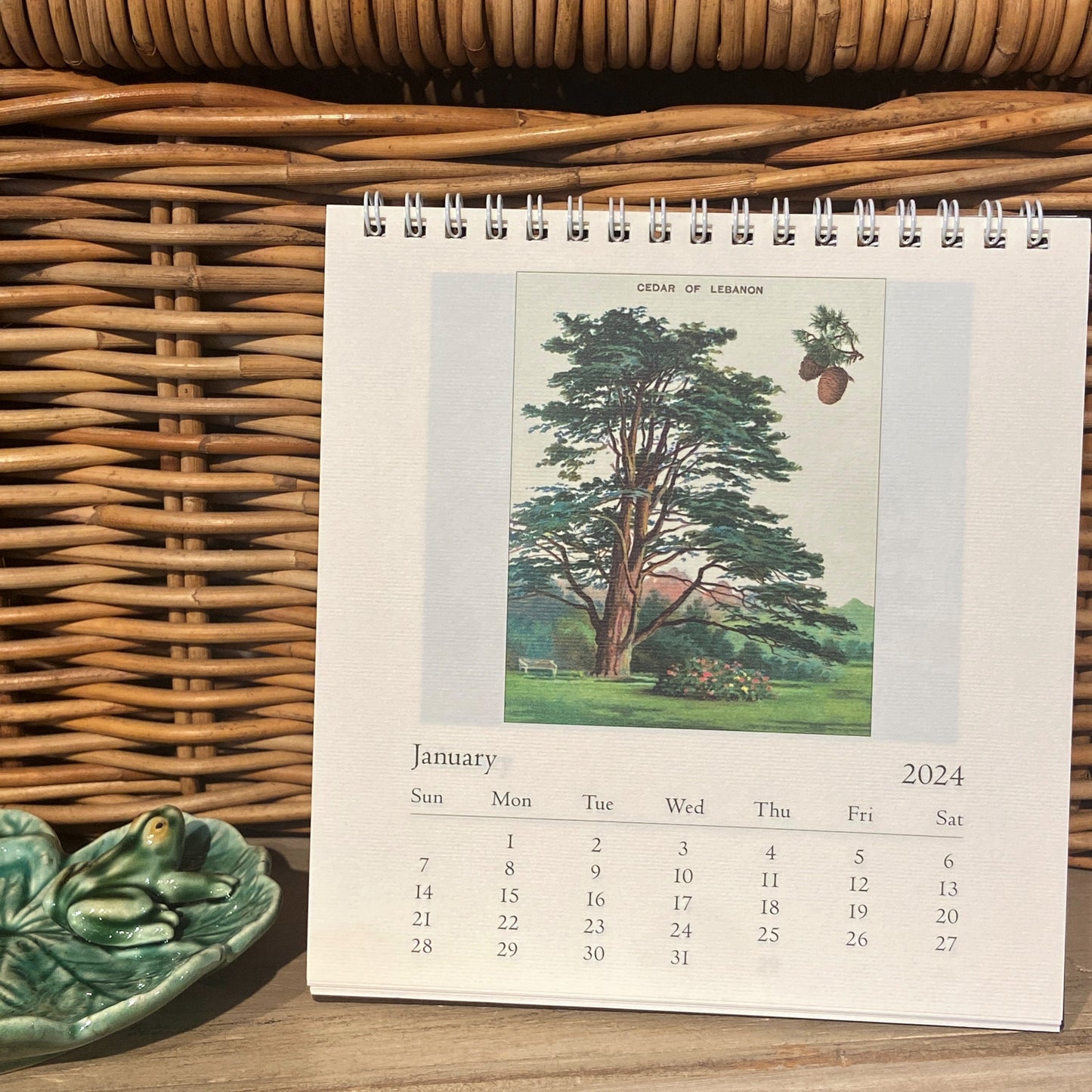 Arboretum 2024 Desk Calendar