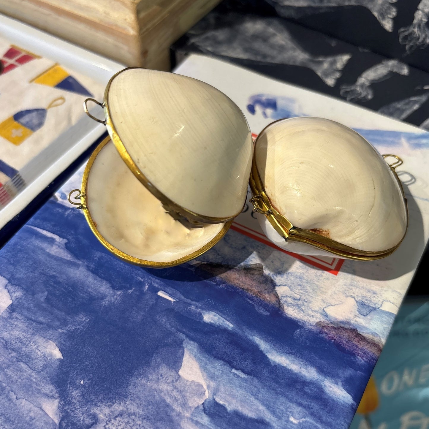 Large Shell Boxes