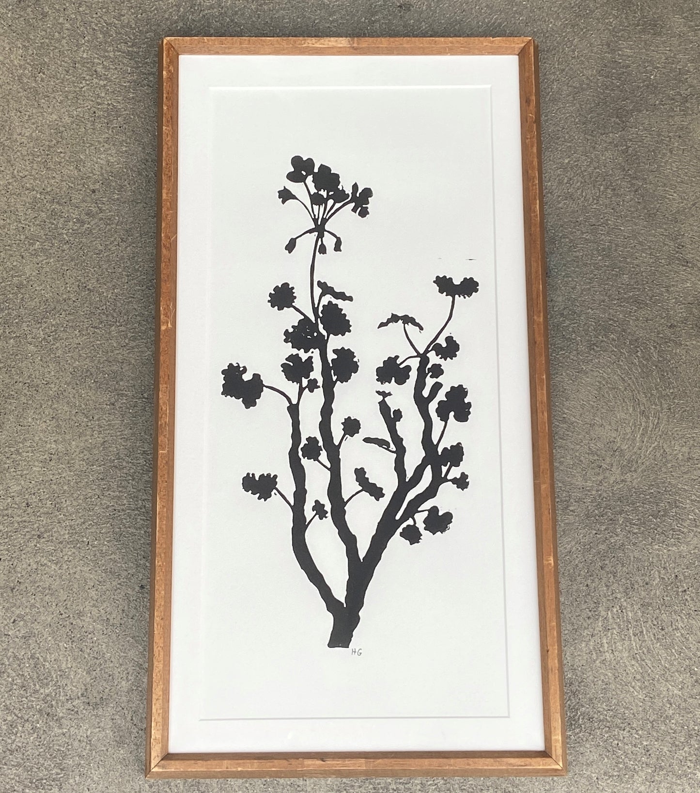 Tall Geranium