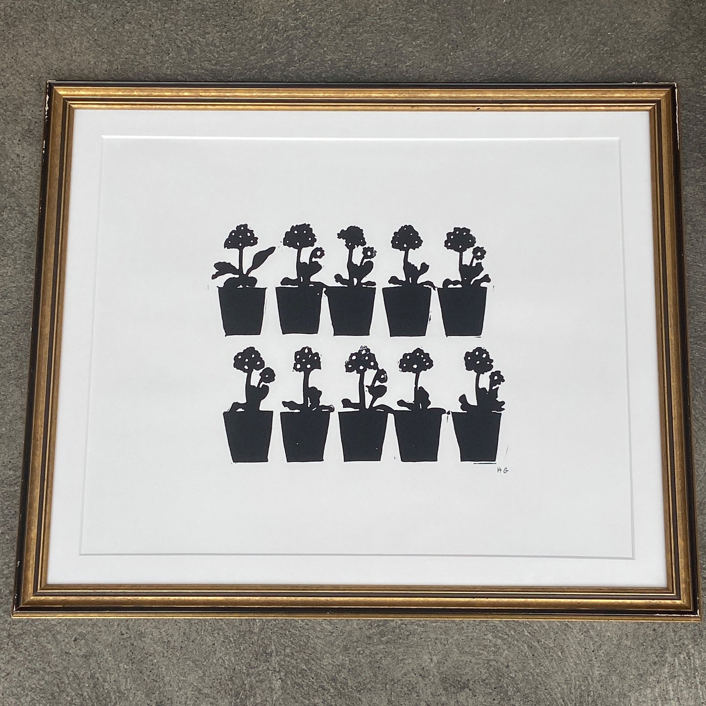 Auricula by Hugo Guinness