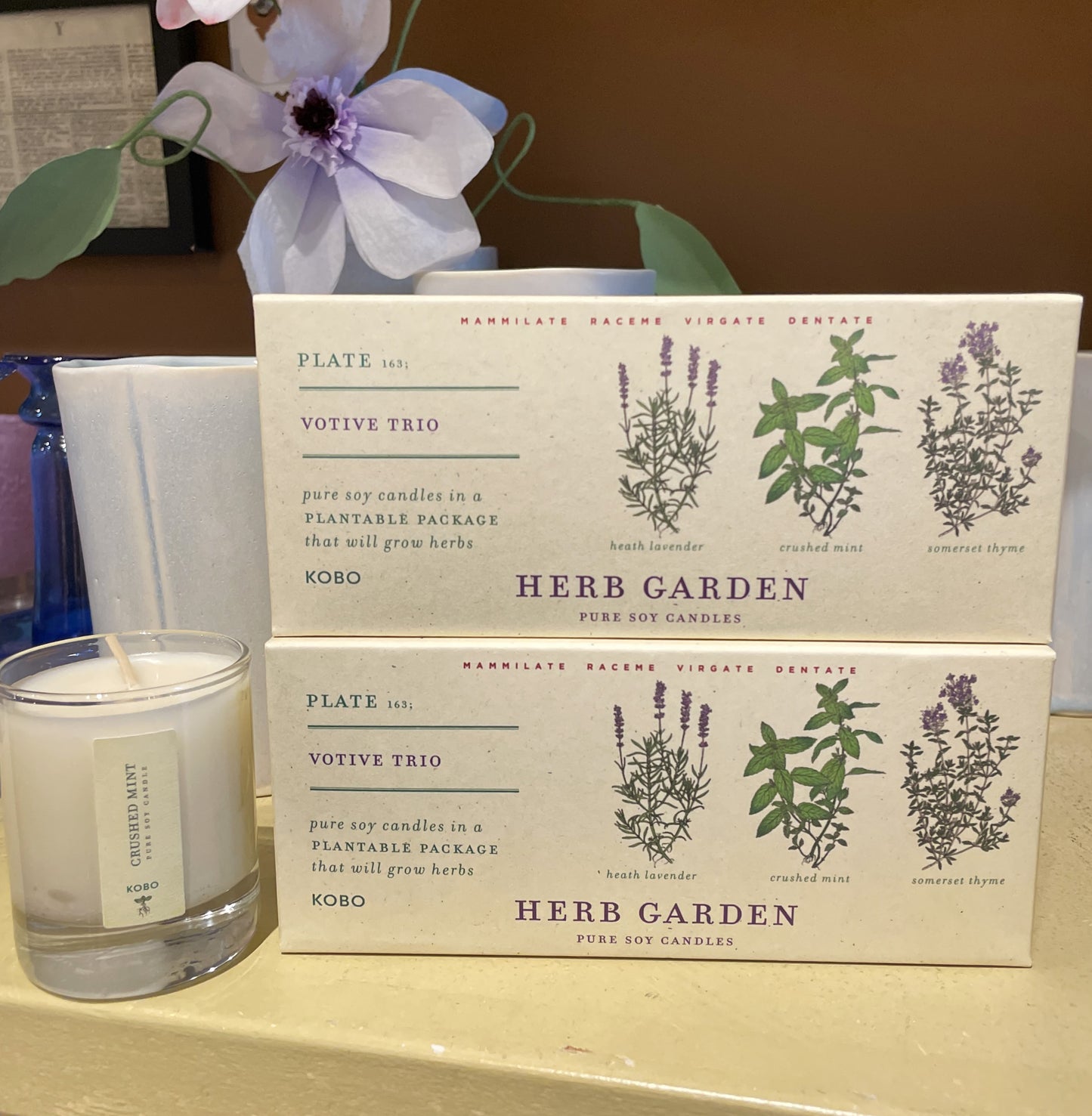 Herb Garden Trio
