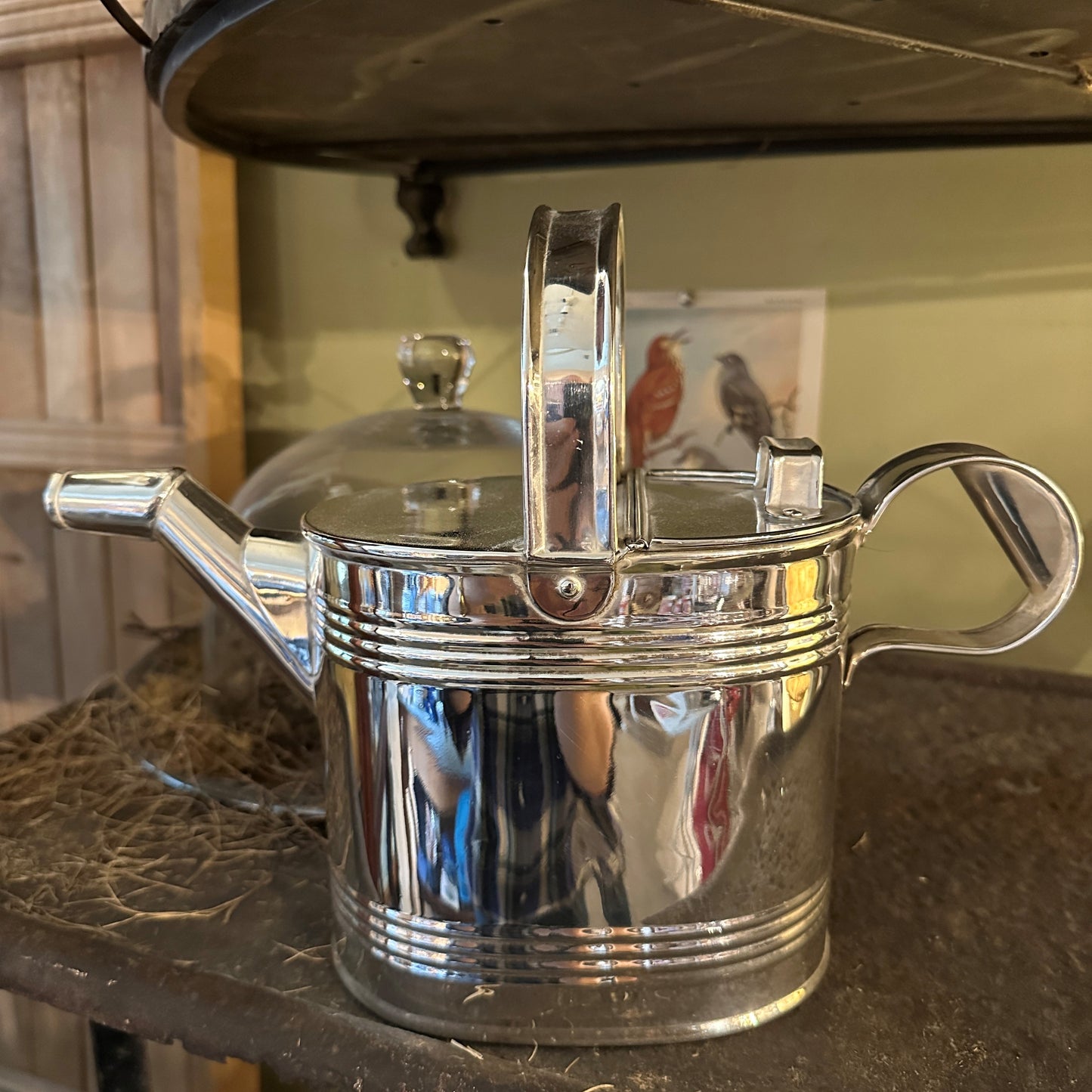 Vintage Hotel Silver Watering Can c.1900