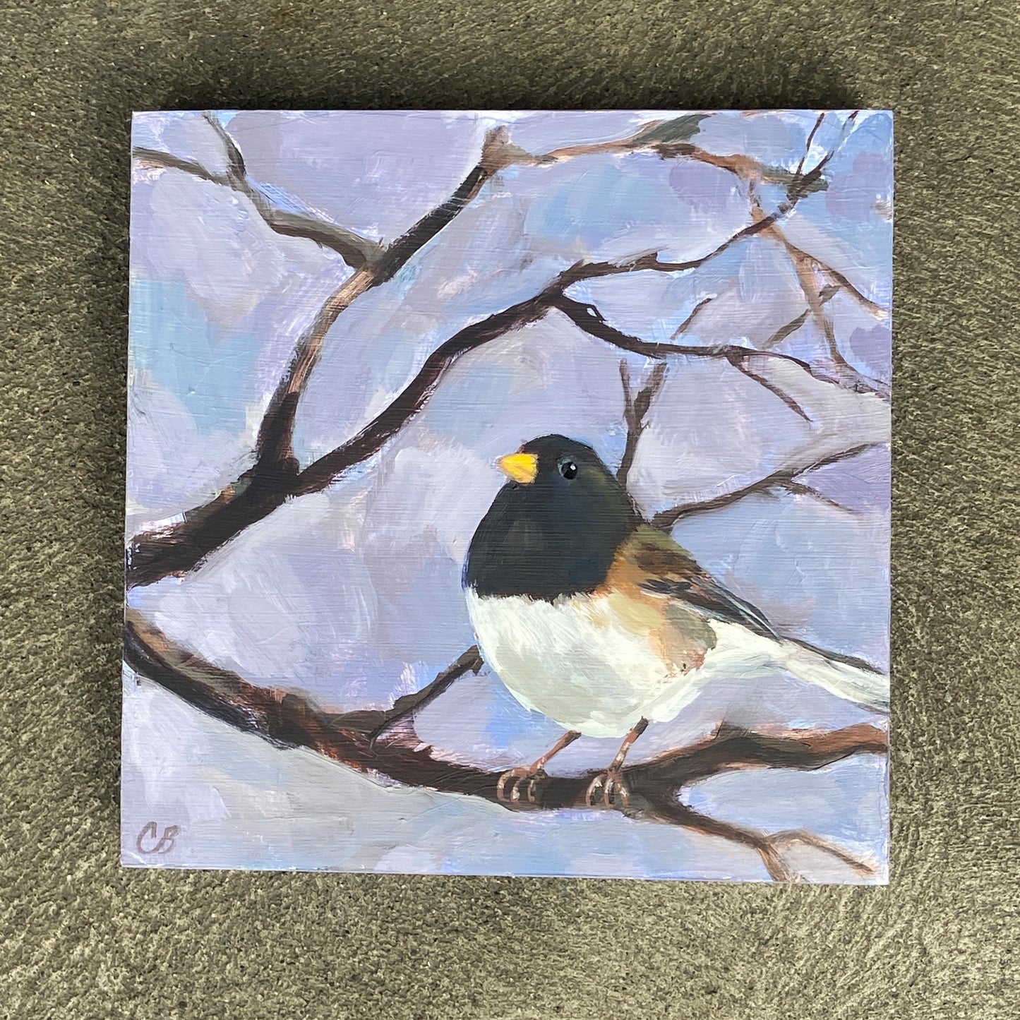 Junco No. 01 by Cody Blomberg