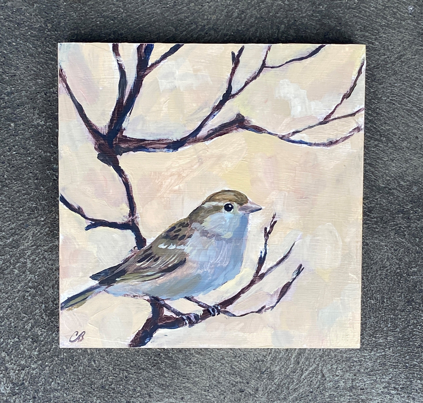 House Sparrow No. 01 by Cody Blomberg
