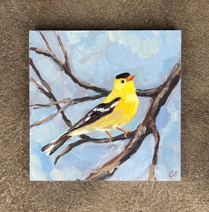 Goldfinch No. 02 by Cody Blomberg