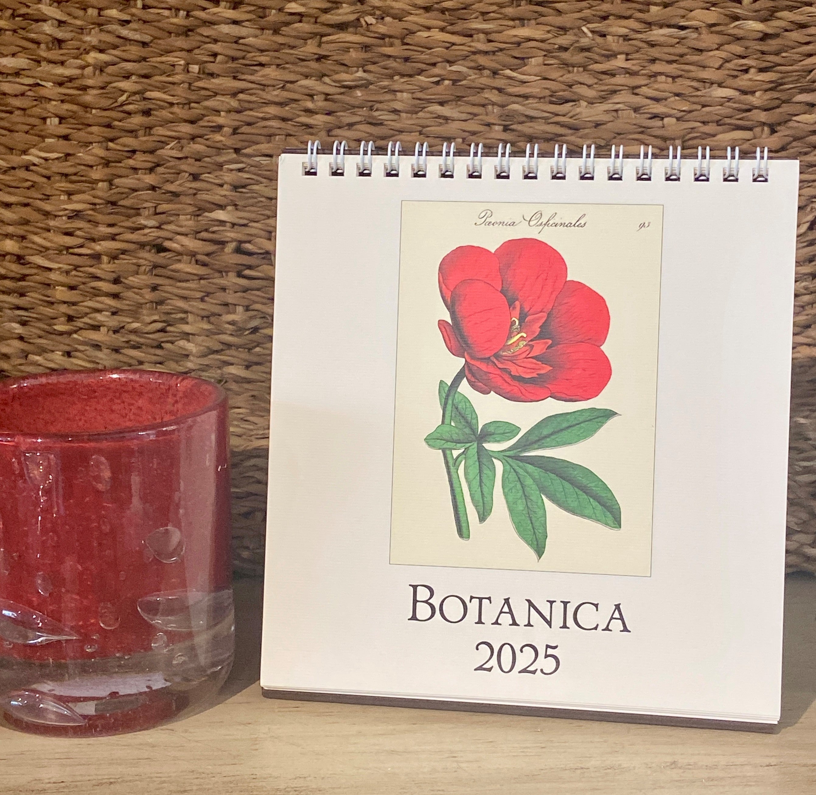 Botanica 2025 Desk Calendar Watson Kennedy