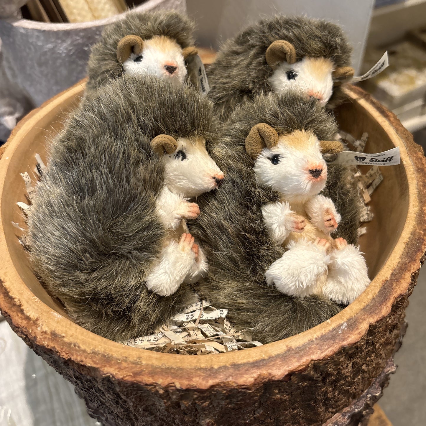 Baby Hedgehog Toy