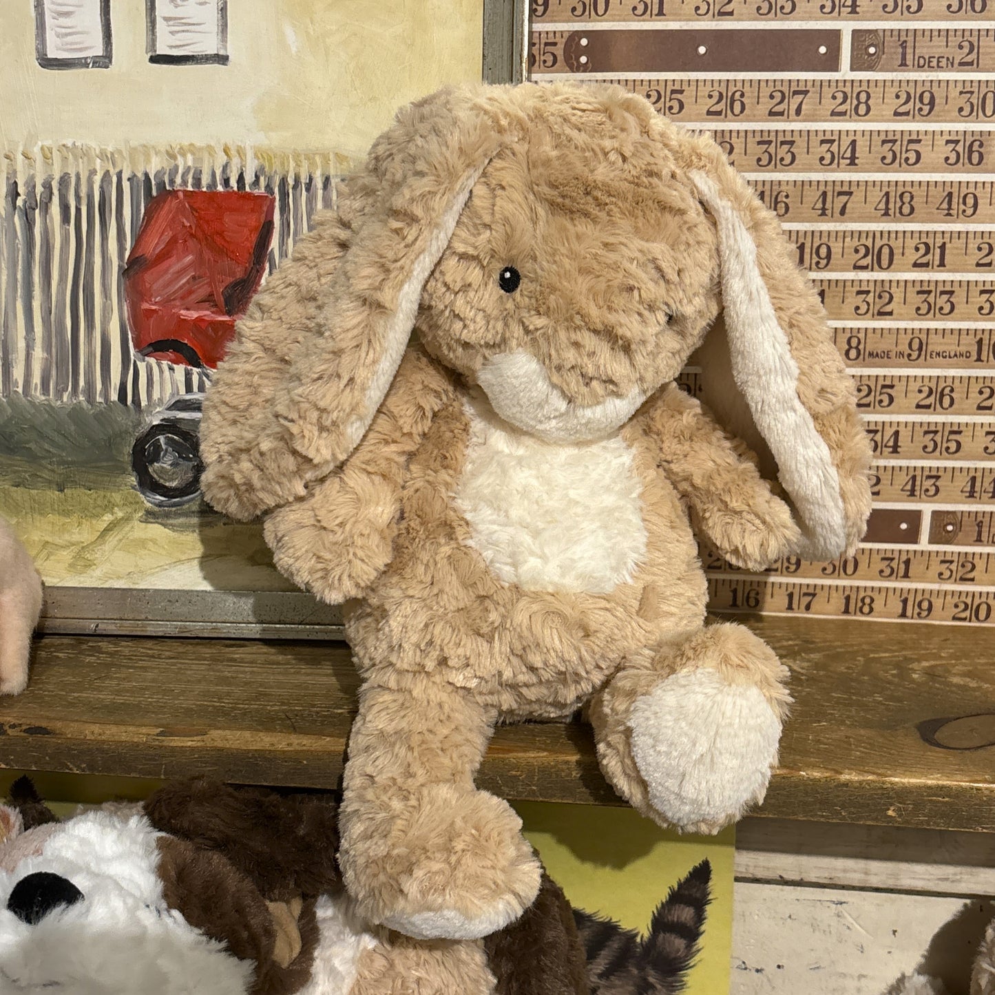 Hugo Bunny