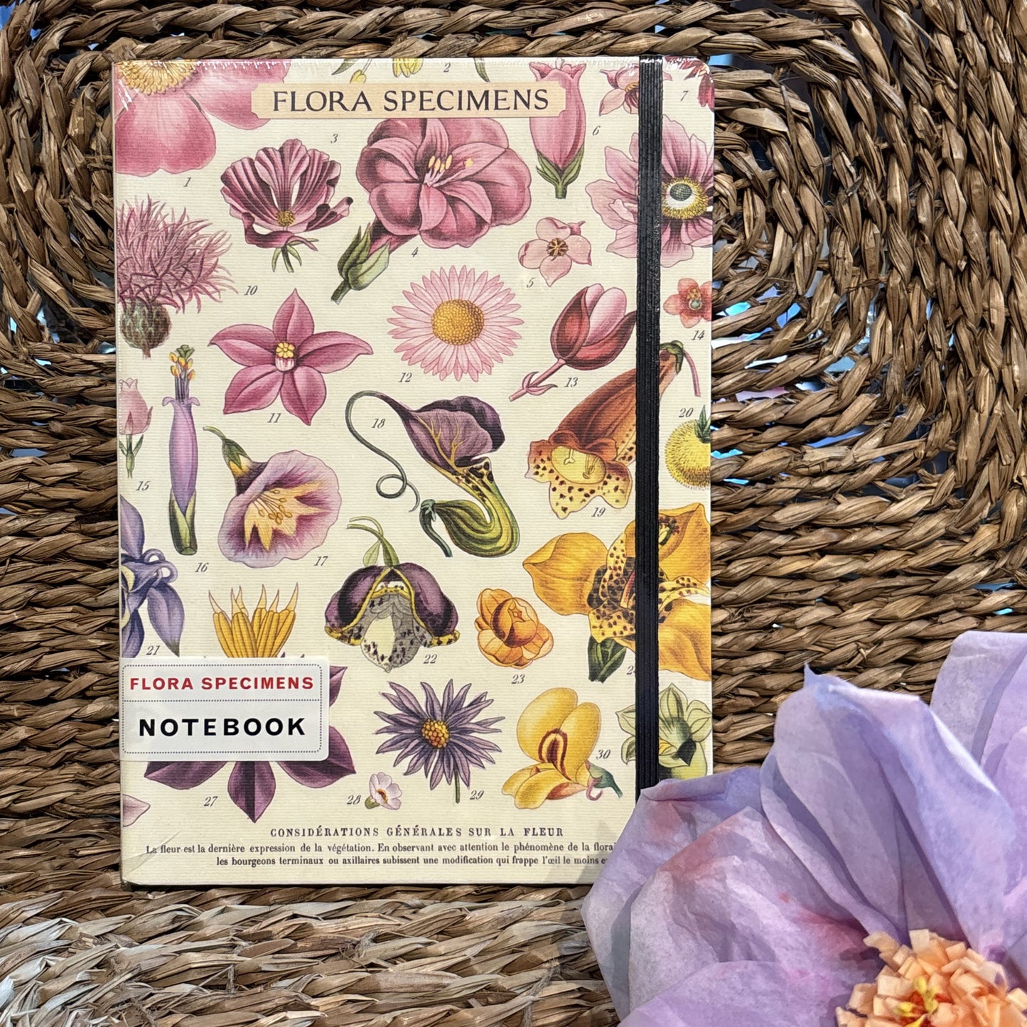 Flora Specimen Notebook