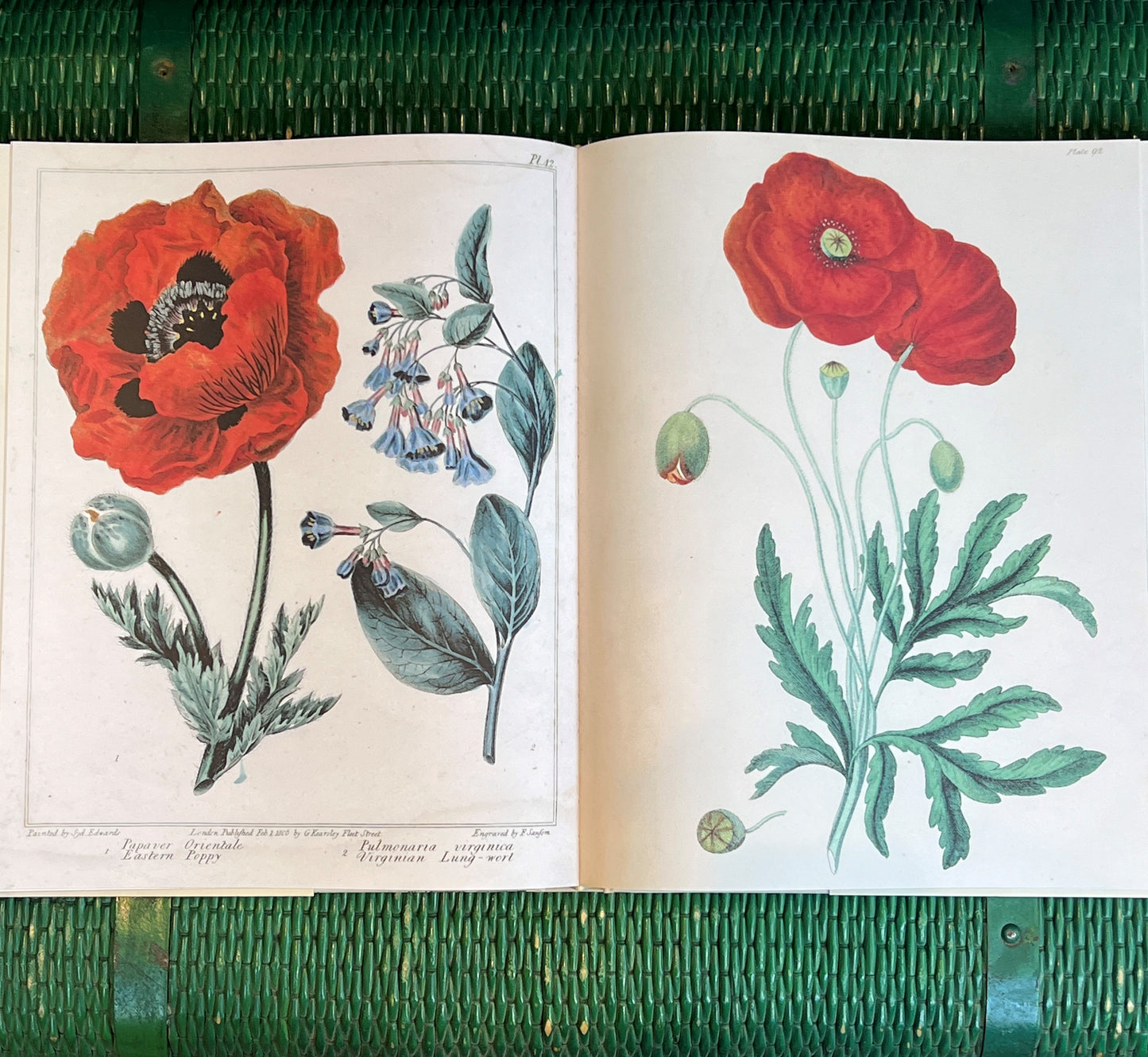 John Derian Picture Book II