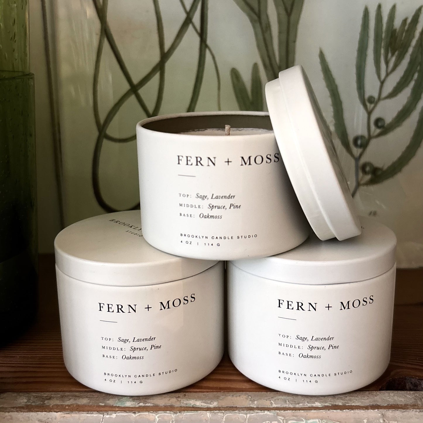 Fern and Moss Travel Tin