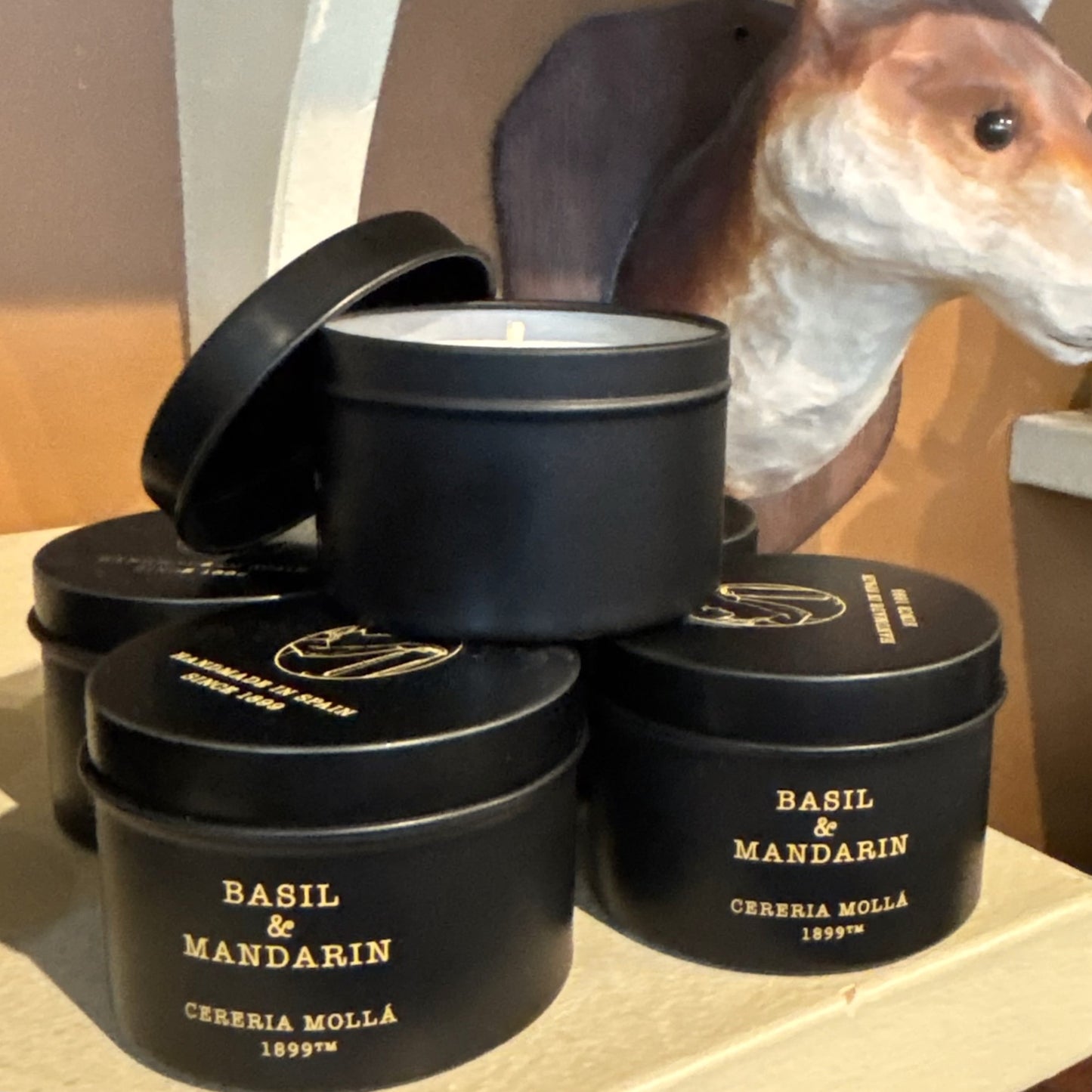 Basil & Mandarin Travel Tin