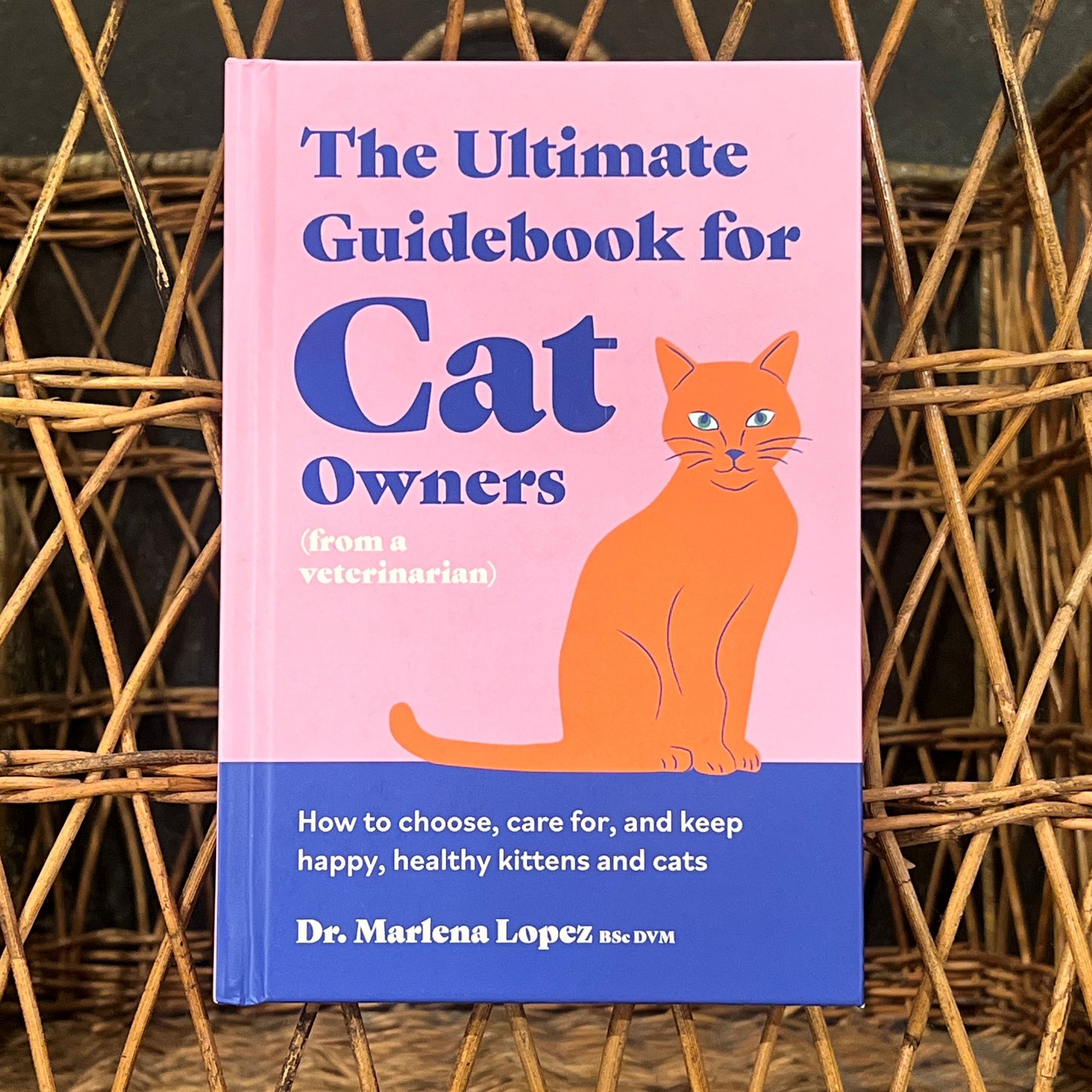 The Ultimate Guidebook for Cat Owners