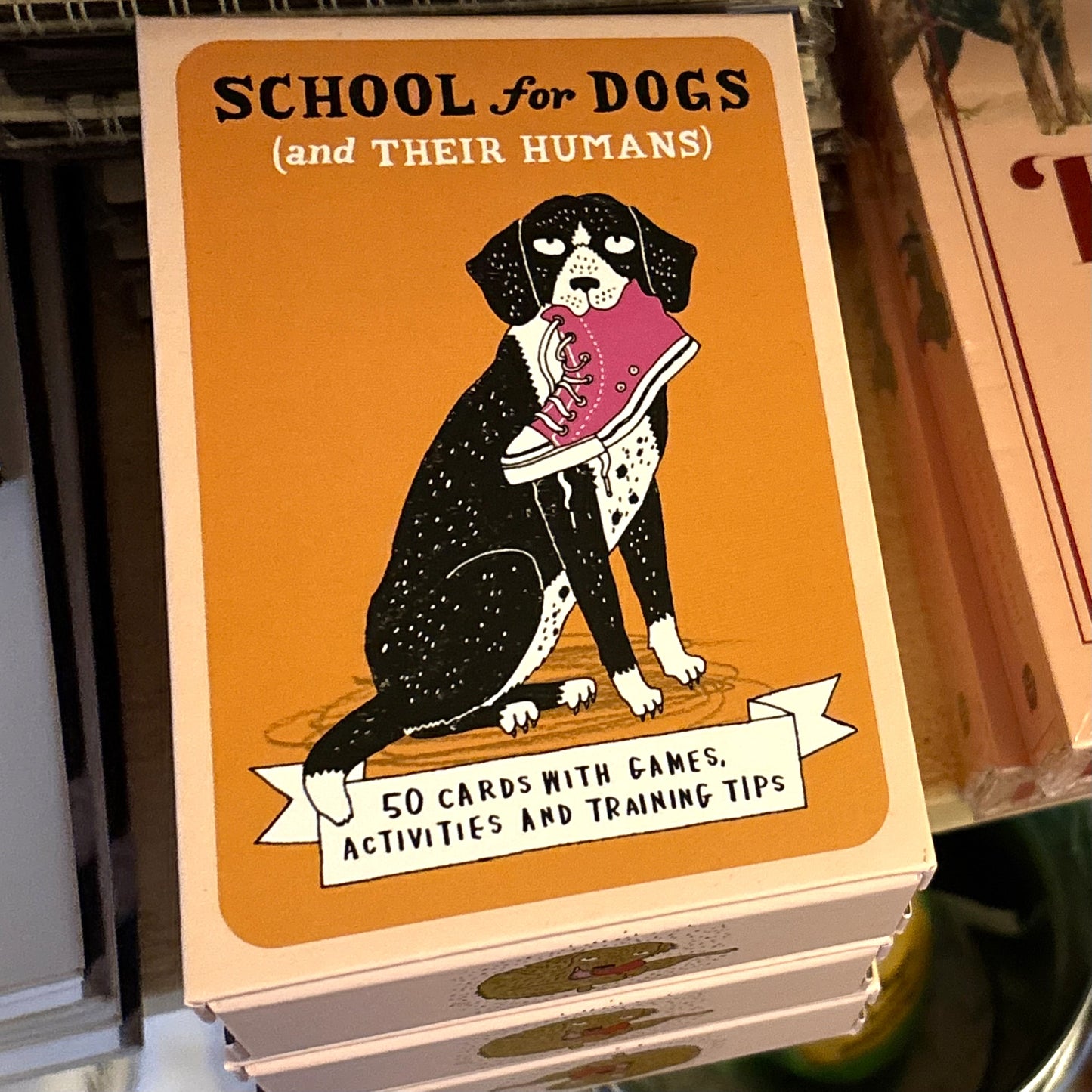 School for Dogs (and their Humans)