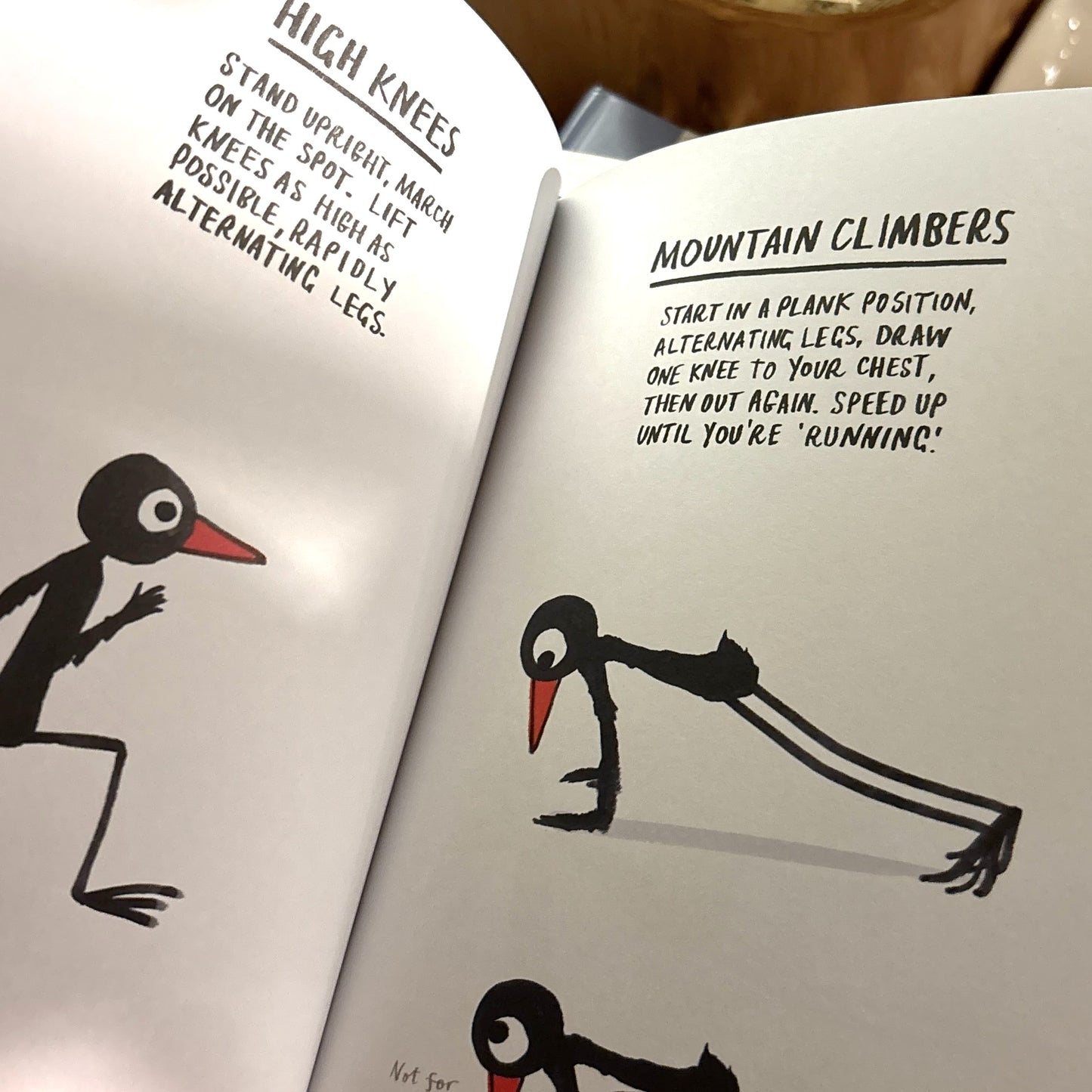 How to be a Fit Bird