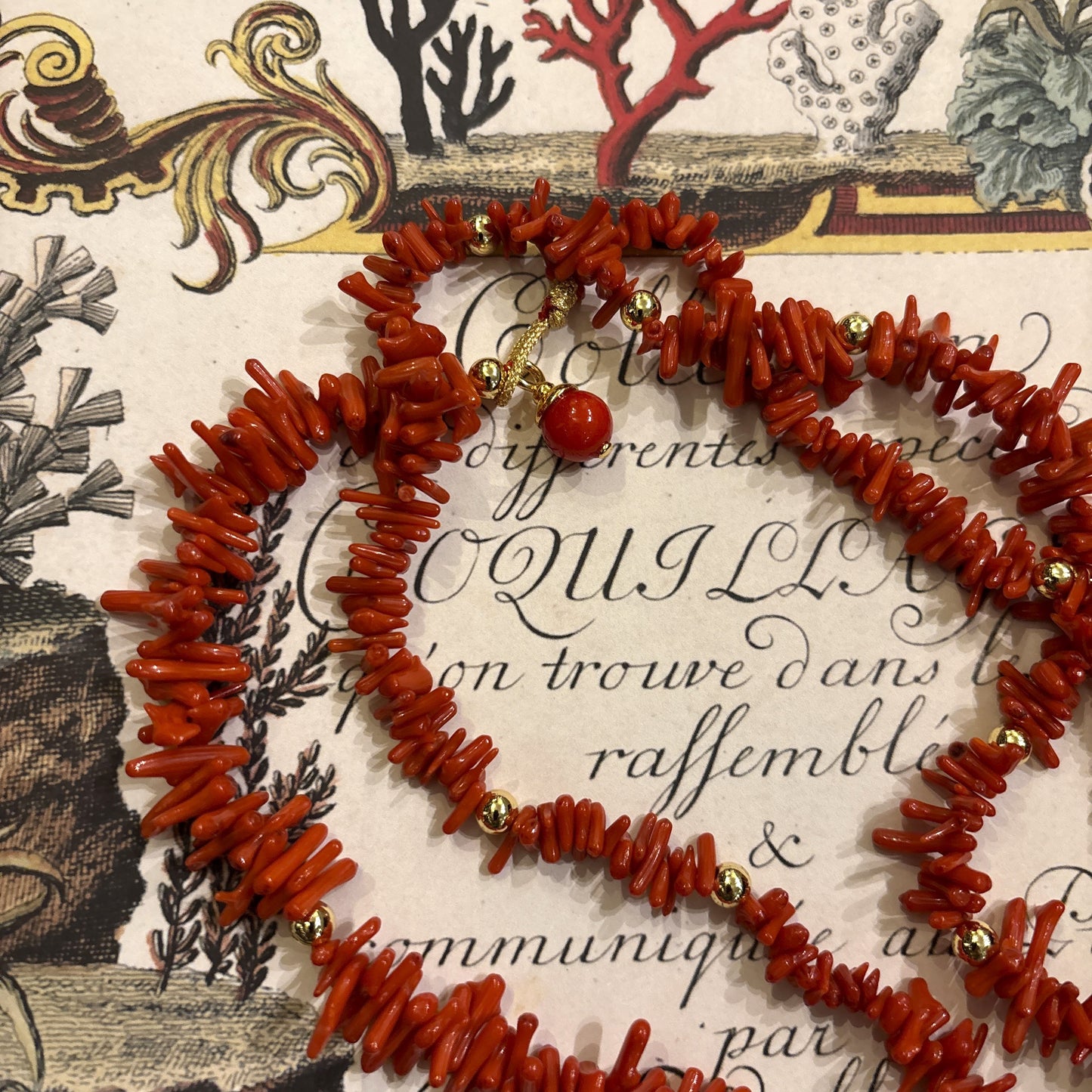 Red Branch Coral & Gold Bead Necklace