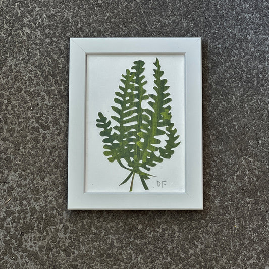 Fern Leaves by Denise Fiedler