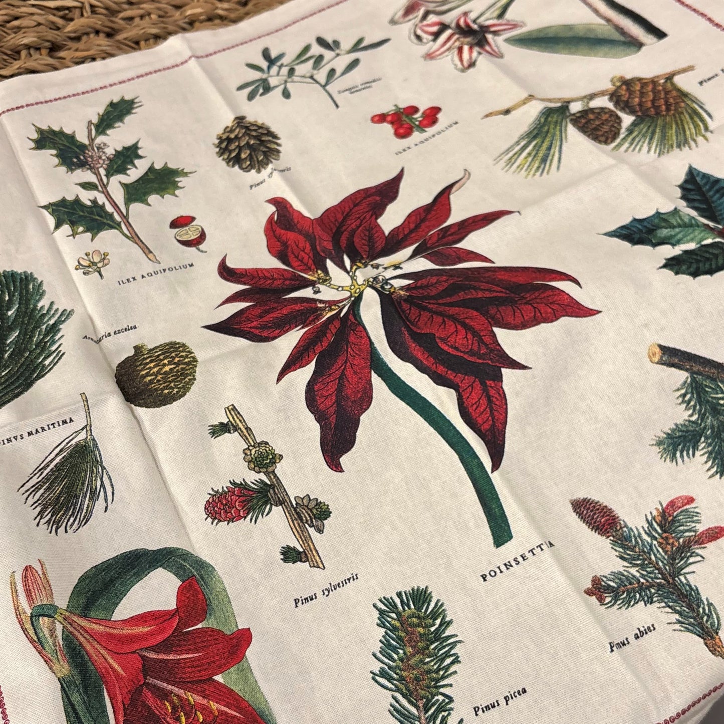 Christmas Botanica Napkin Set