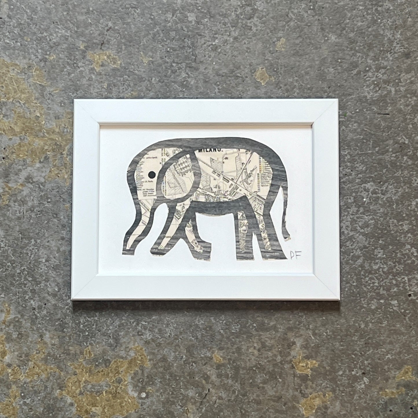 Elephant by Denise Fiedler