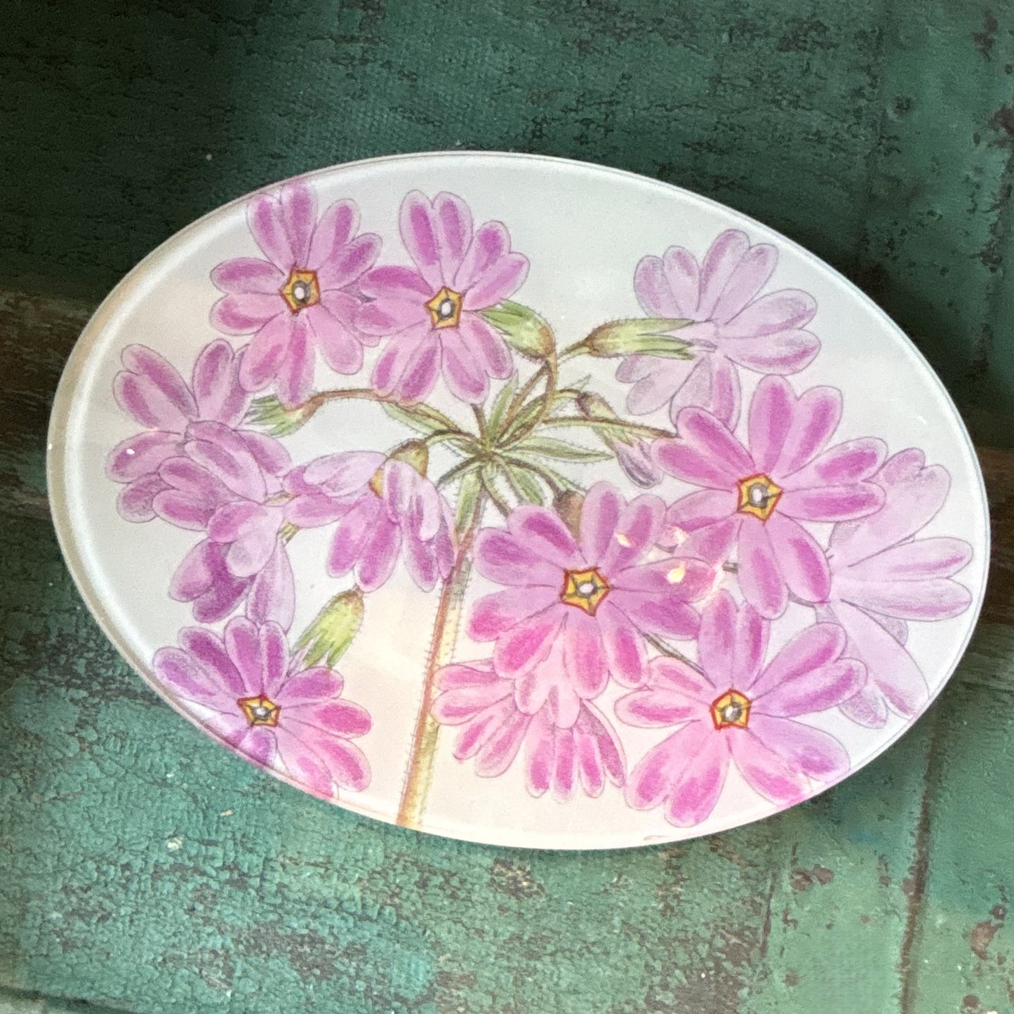 Primula Veitchii Oval Plate