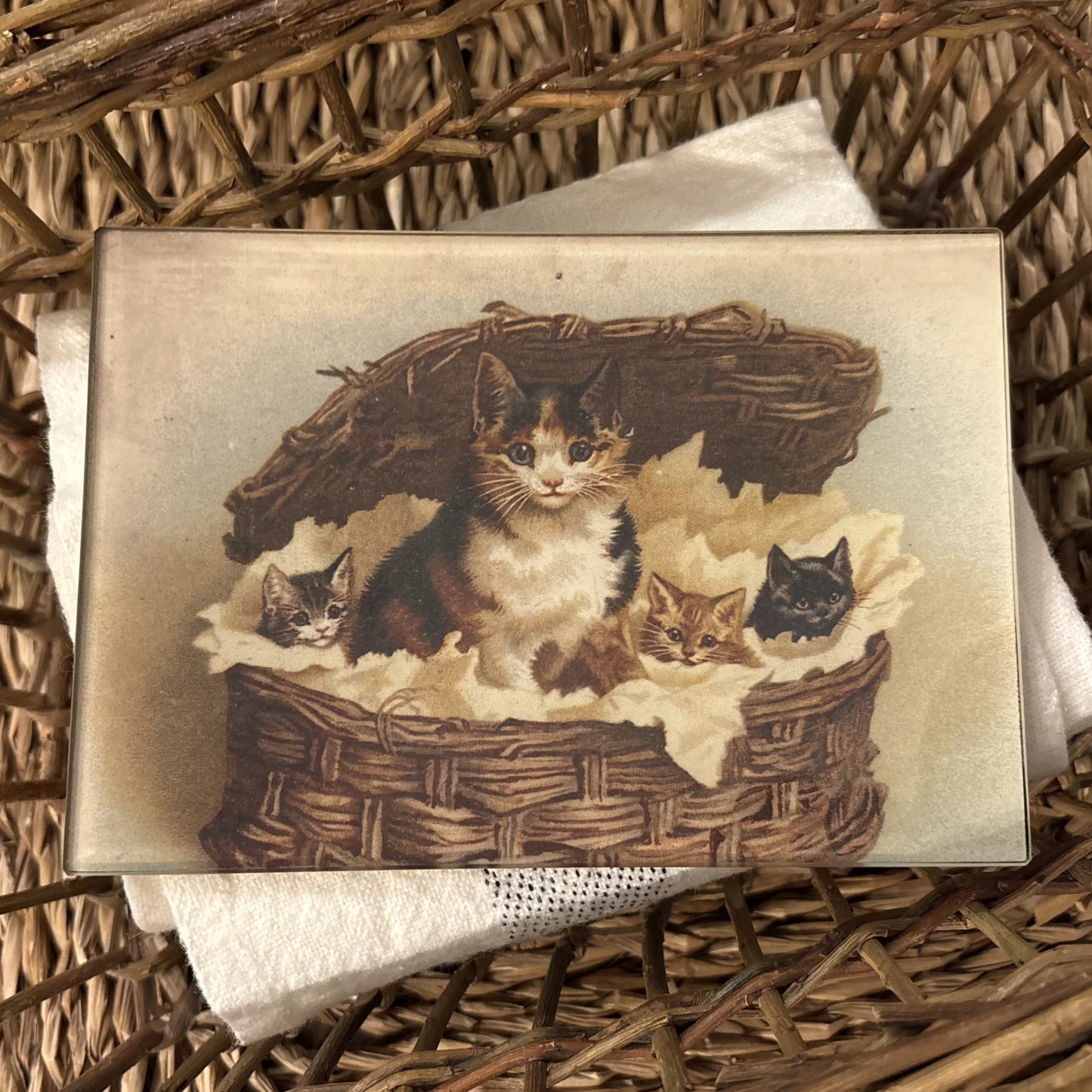 Cat Basket Mini Rectangular Tray