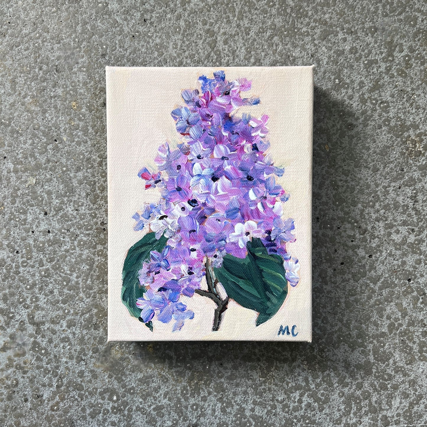 Lilac by Mindy Carpenter