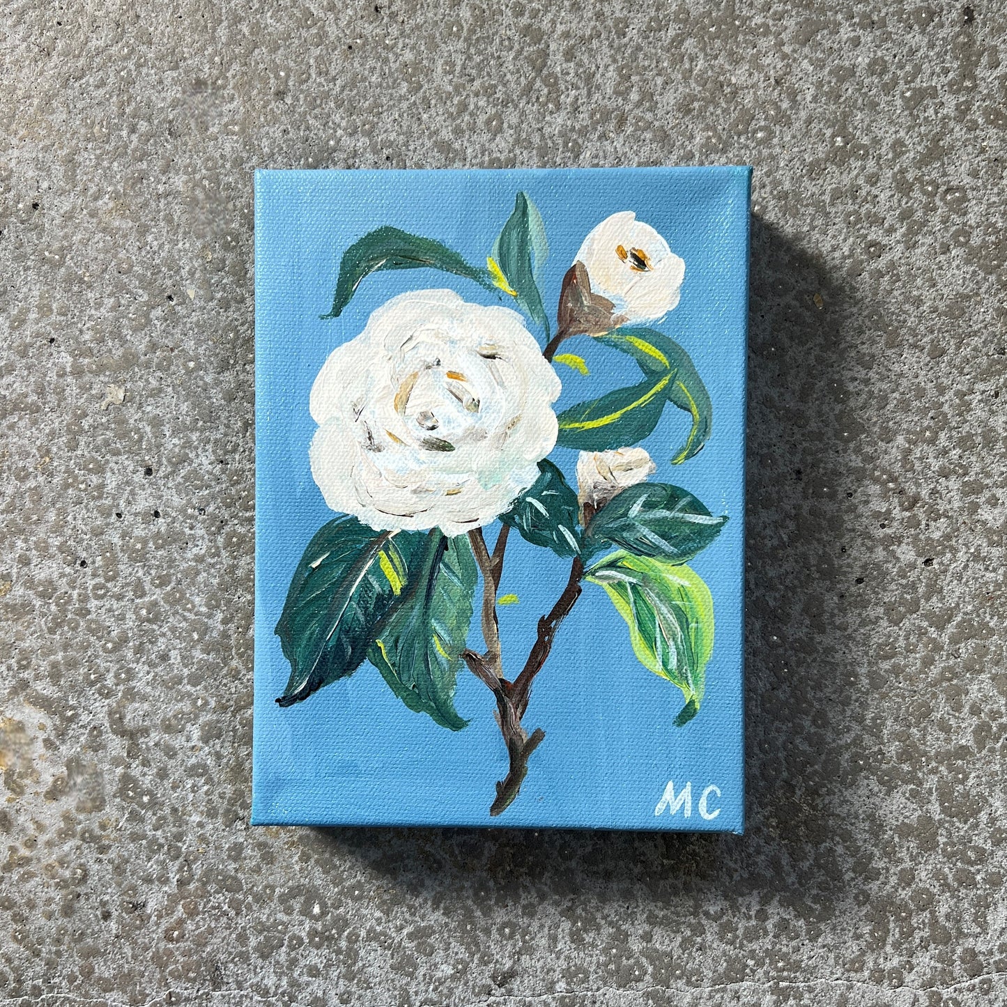 White Dahlia by Mindy Carpenter
