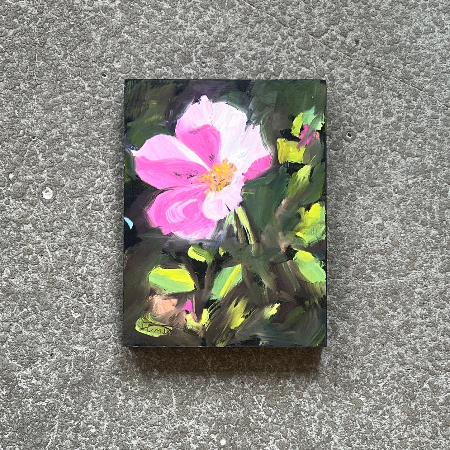 Wild Rose by Donna Dumont
