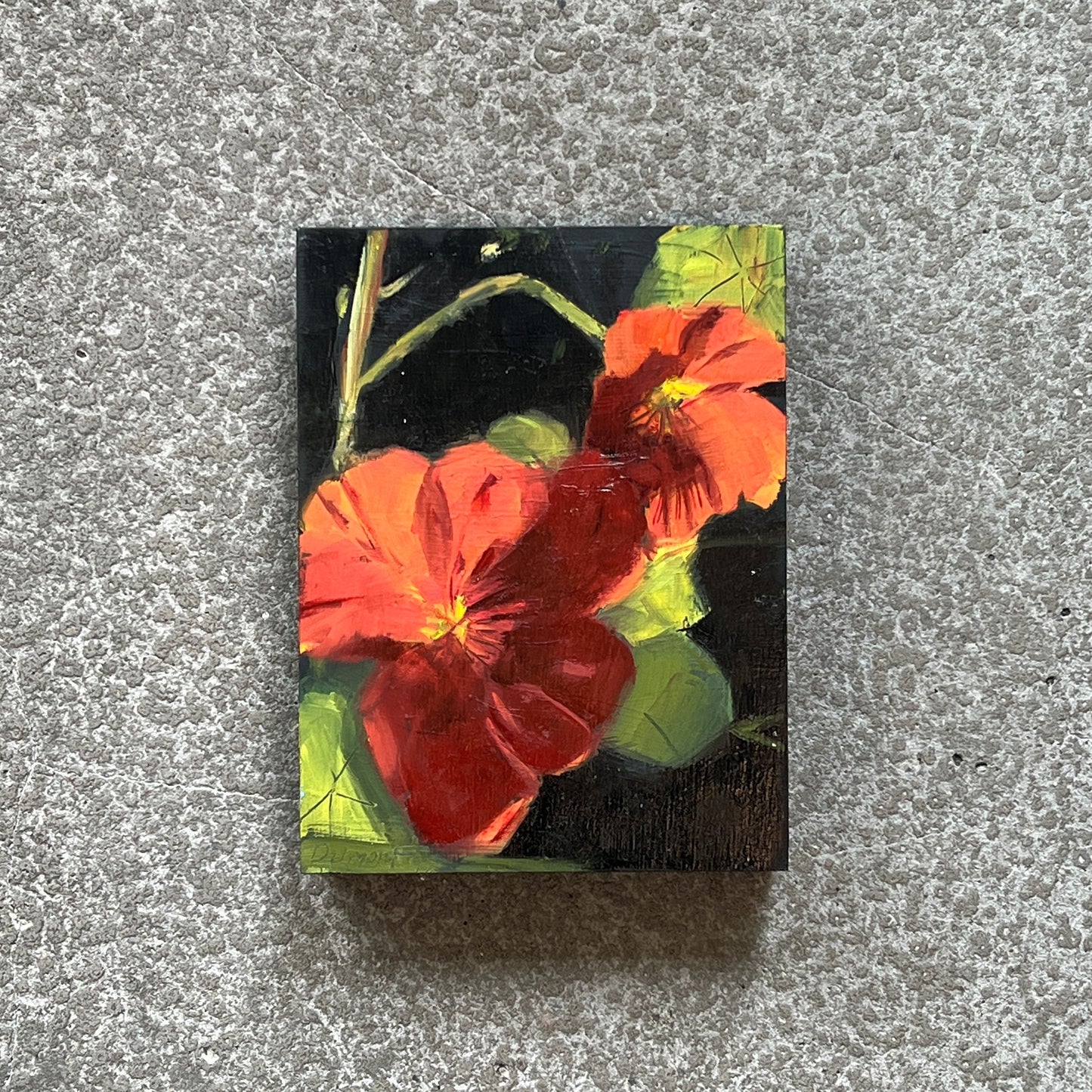 Nasturtiums by Donna Dumont