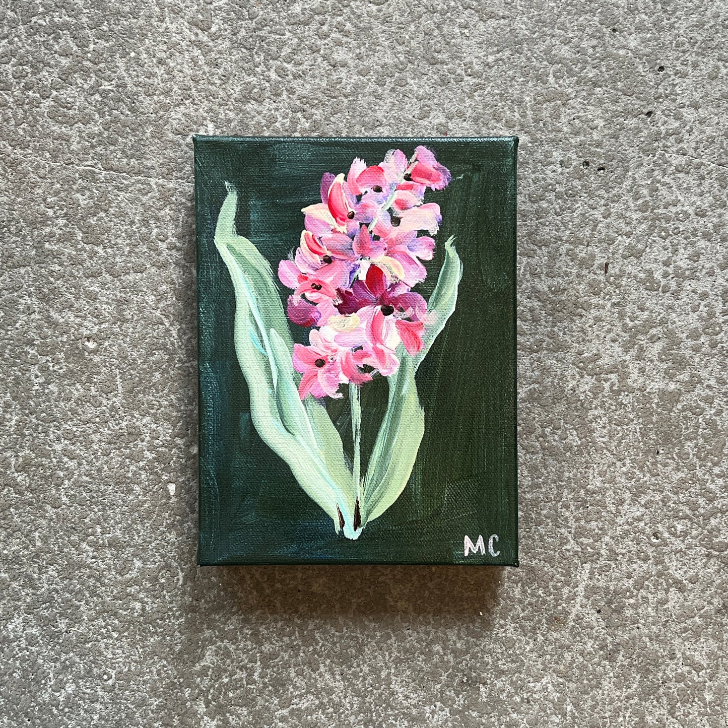 Magenta Hyacinth by Mindy Carpenter