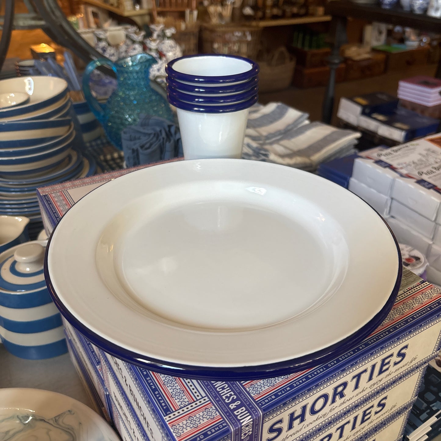 Cobalt Blue Rim Enamel Dinner Plate