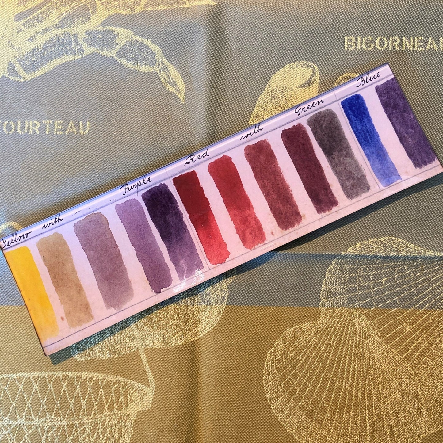 Color Key Rectangle Tray