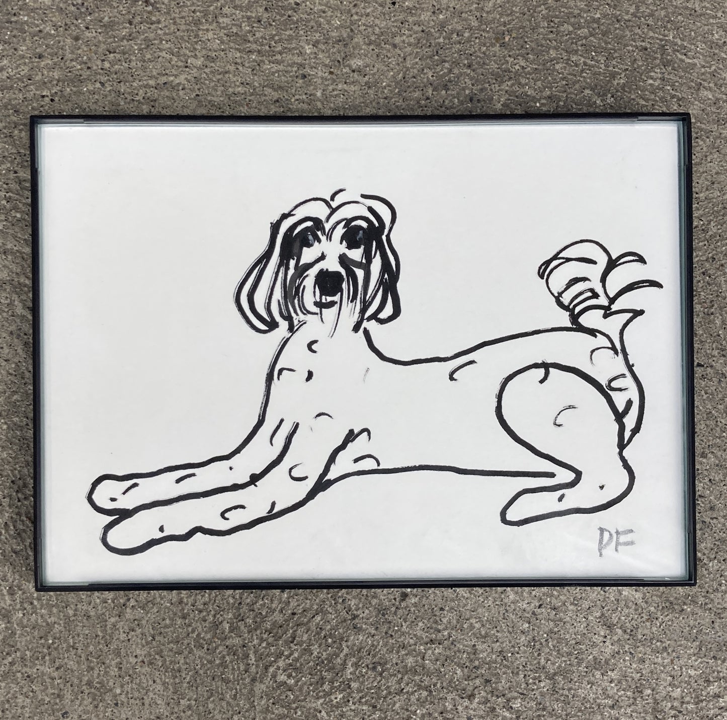 Golden Doodle Ink Drawing
