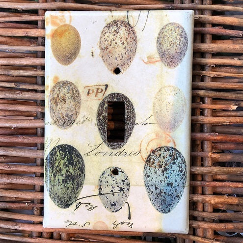 Egg Collecton Collage