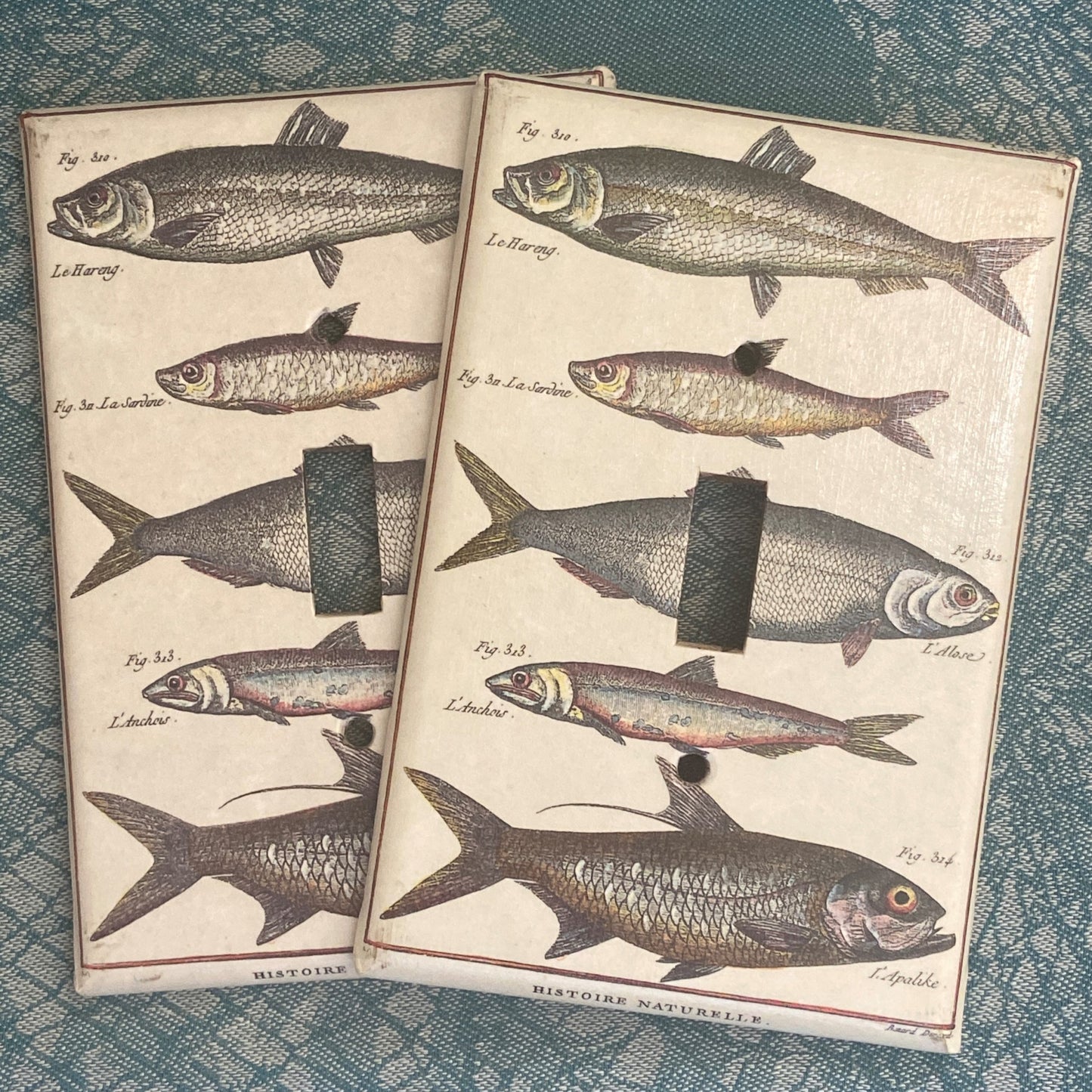 Fish Light Switch Cover