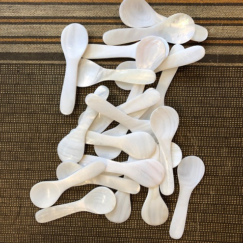 Small Sea Shell Spoon
