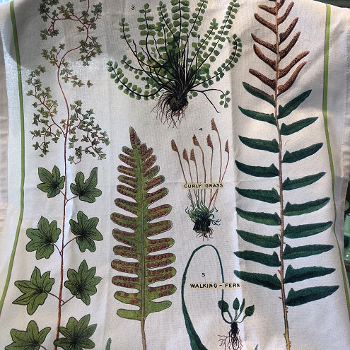 Fern Hand Towel