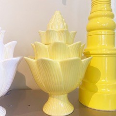 Yellow Tulipiere