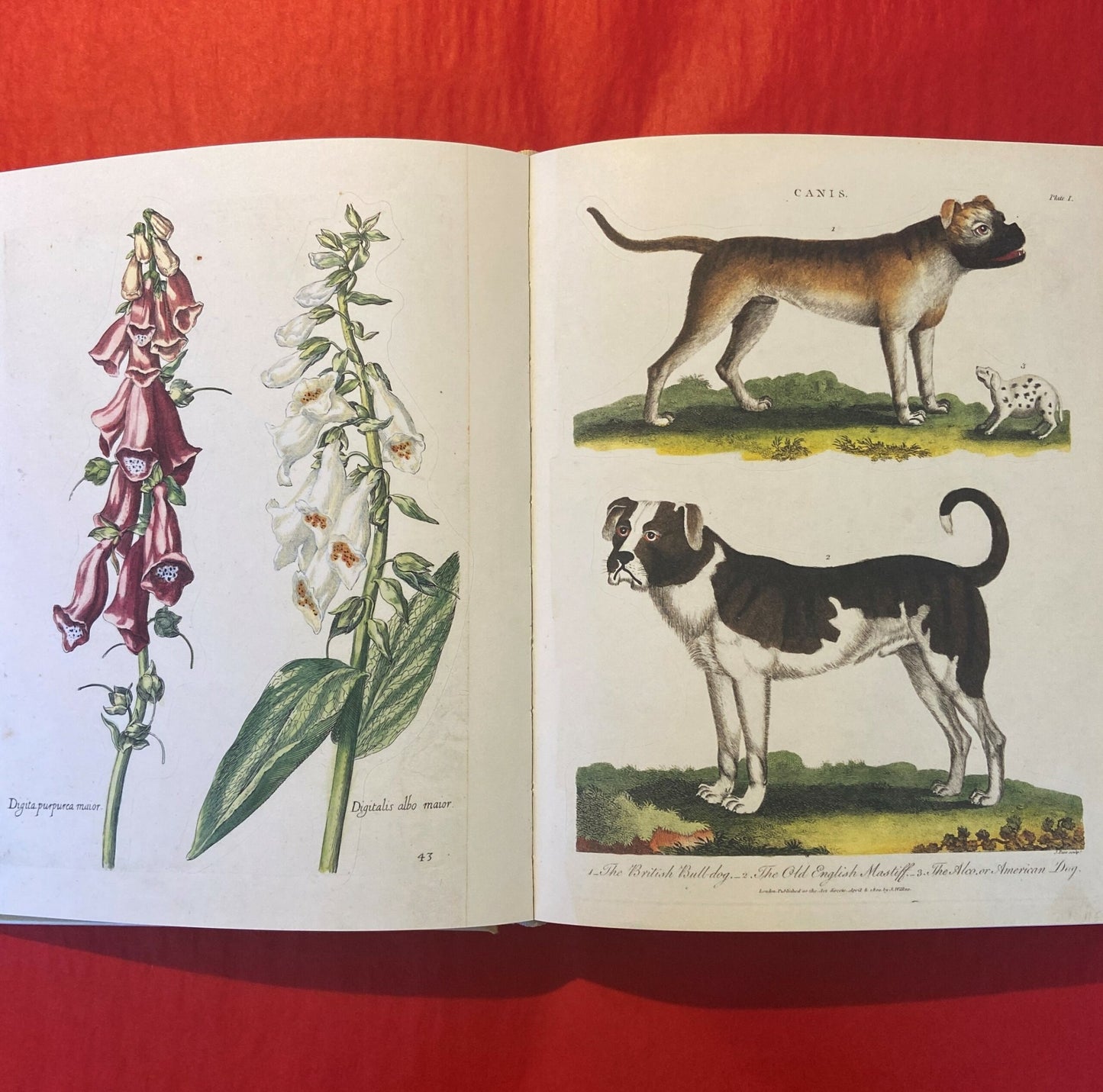 John Derian Sticker Book