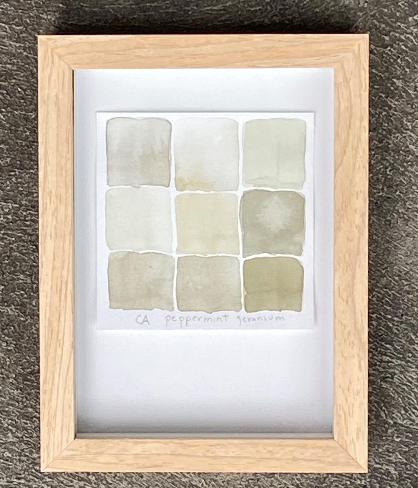 Peppermint Geranium Painting by Lorene Edwards Forkner